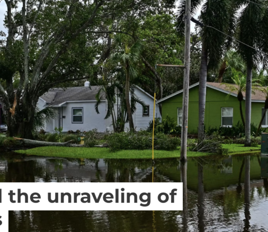 In fall 2024, Tampa and other Florida cities on the Gulf coast were hit by hurricanes Helene and Milton within 13 days of each other. Giorgio Viera/AFP via Getty Images
